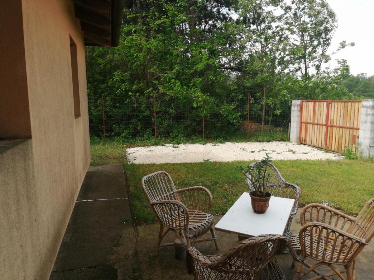 Vízaknai Apartmanház Székesfehérvár Kültér fotó