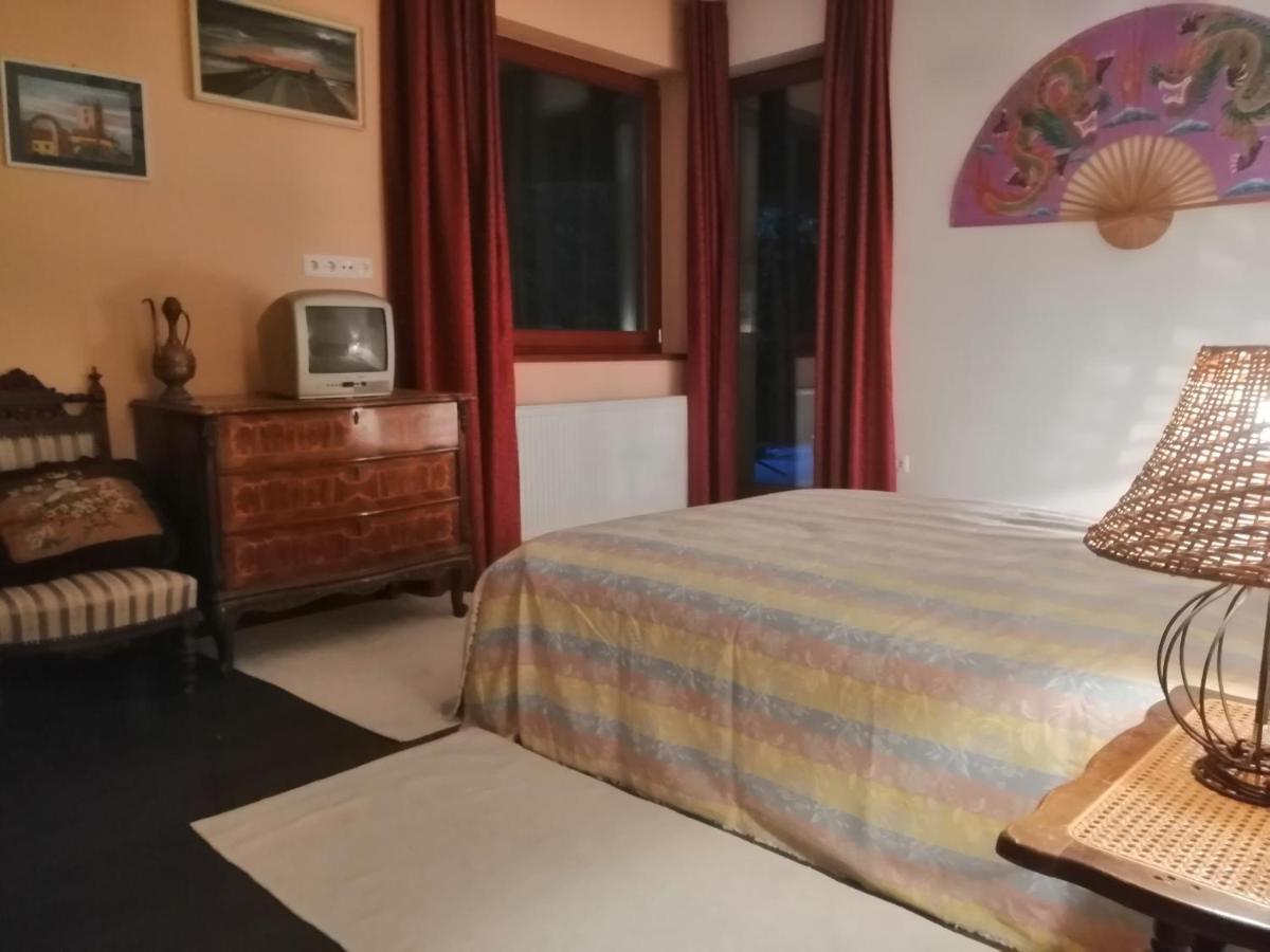 Vízaknai Apartmanház Székesfehérvár Kültér fotó